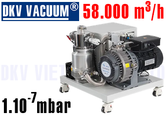 Bơm chân không DKV GWMS1600/1000