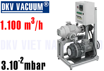 Bơm chân không DKV GWRS30/300
