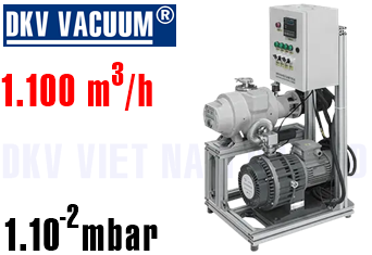 Bơm chân không DKV GWRS30/600