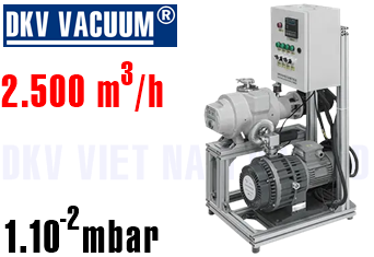 Bơm chân không DKV GWRS70/1000