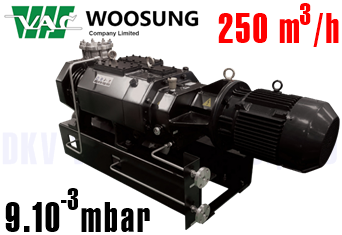 Bơm chân không khô Woosung MDP300B