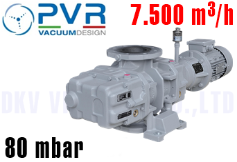 Bơm chân không PVR GMb 15.11 HV