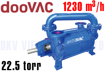 Bơm chân không vòng nước Doovac DSDH 22200