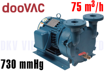 Bơm chân không vòng nước DooVac DWV-15H