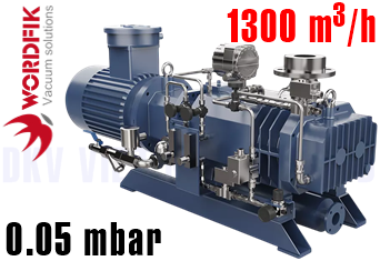 Bơm chân không Wordfik DVE1300