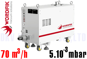 Bơm chân không Wordfik DVRT90