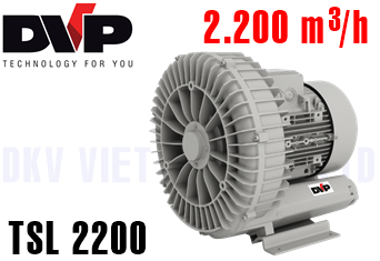 Máy thổi khí chân không DVP TSL 2200