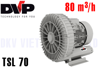 Máy thổi khí chân không DVP TSL 70