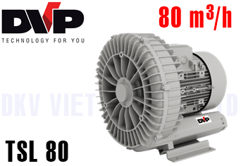 Máy thổi khí chân không DVP TSL 80
