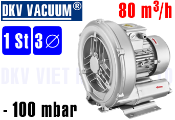 Máy thổi khí con sò GHBH 0D3 34 1R2
