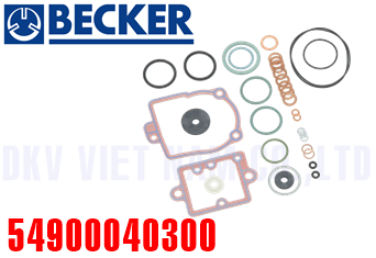 Bộ gioăng phớt Becker 54900040300