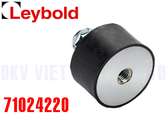 Phụ tùng bơm chân không Leybold 71024220