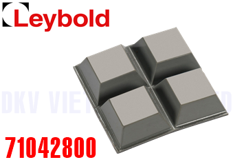 Phụ tùng bơm chân không Leybold 71042800