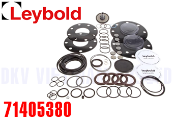Gioăng phớt bơm chân không Leybold 71405380