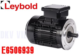 Phụ tùng bơm chân không Leybold E6506939
