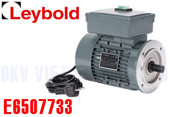 Phụ tùng bơm chân không Leybold E6507733