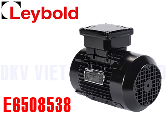 Phụ tùng bơm chân không Leybold E6508538