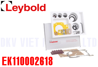 Bộ kit bảo dưỡng bơm chân không Leybold EK110002618