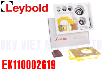 Phụ tùng bơm chân không Leybold EK110002619
