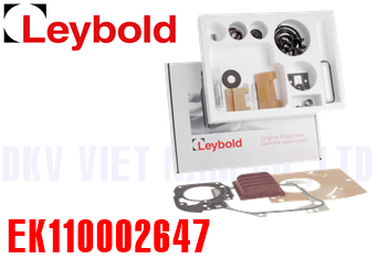 Bộ kit bảo dưỡng bơm chân không Leybold EK110002647