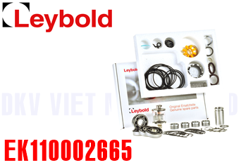 Bộ kit bảo dưỡng bơm chân không Leybold EK110002665