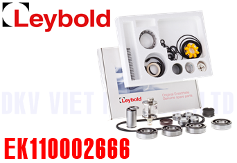 Bộ kit bảo dưỡng bơm chân không Leybold EK110002666