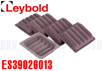 Phụ tùng bơm chân không Leybold ES39026013