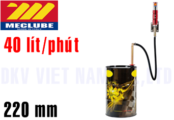 Bơm dầu khí nén Meclube 022-1214-000