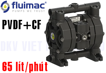Bơm màng Fluimac P60-PVDF+CF